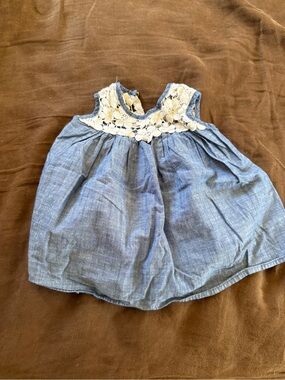 Anthem of the Ants Blue Chambray Dress/top